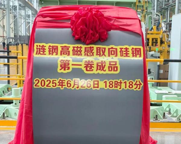 High magnetic induction oriented silicon steel